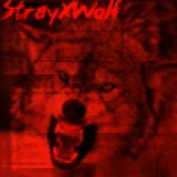 /: Stray--X--Wolf :\