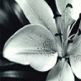 &aacute;&fnof;&brvbar;EricaLynn&aacute;&fnof;&brvbar;