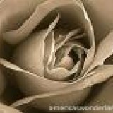Cathrine
